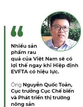 Rau quả chinh phục thị trường khó tính