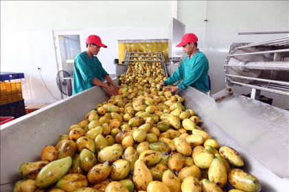 Hiệp định EVFTA: Tăng chất lượng và xây dựng thương hiệu cho nông sản Việt
