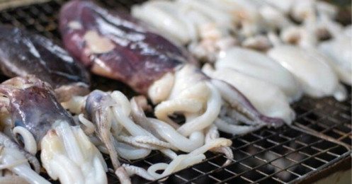 Xuất khẩu mực, bạch tuộc sang Trung Quốc tăng mạnh trong 6 tháng đầu năm