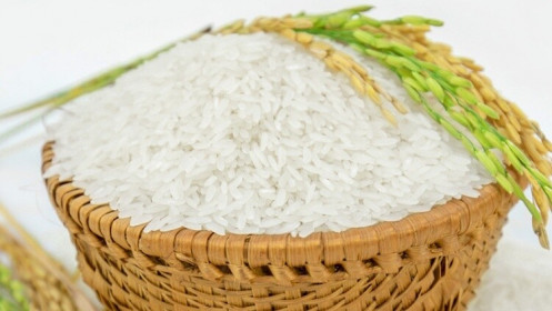 Giá lúa gạo ngày 25/07: Tăng nhẹ 100 - 200 đồng/kg
