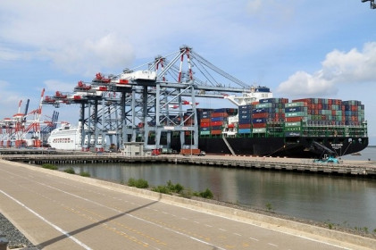 Logistics Vinalink báo lãi quý 2 tăng 24% nhờ dịch vụ vận chuyển bằng đường biển và hỗ trợ tăng