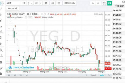 Cổ phiếu YEG khó trở lại đỉnh cũ