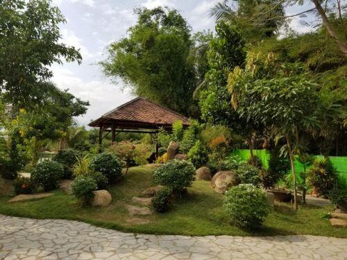 Choáng ngợp “biệt phủ” gỗ hoành tráng rộng 1300m2 ở Nha Trang