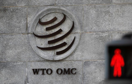 WTO bất đồng về lựa chọn nhà lãnh đạo tạm quyền