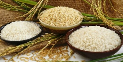Giá lúa gạo ngày 01/08: Doanh nghiệp tăng dự trữ, đẩy giá gạo nội địa tăng