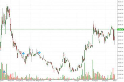 SNZ "tăng tốc" nhờ đâu?
