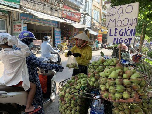 Dân buôn tiết lộ sốc về đào mỏ quạ đang bán tràn chợ Việt