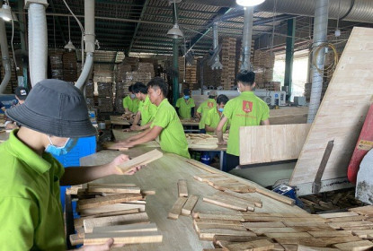 Vụ doanh nghiệp gỗ kêu cứu 3 bộ: Bộ Tài chính lập đoàn kiểm tra