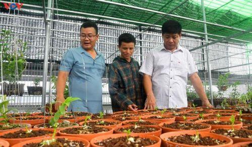 Vườn lan rừng trị giá cả núi tiền của 'lão nông' ở Đông La