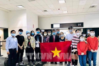 Đưa gần 350 công dân Việt Nam từ Houston (Hoa Kỳ) về nước