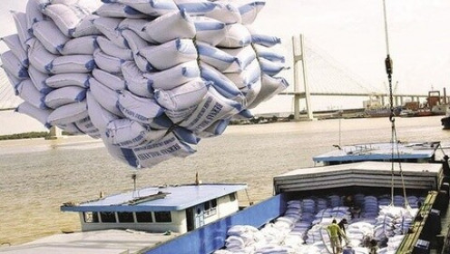 Xuất khẩu gạo vào EU: Muốn hưởng thuế suất 0%, phải có vùng trồng ổn định