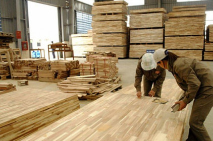 Vụ doanh nghiệp gỗ kêu cứu: Tạm cho xuất khẩu thuế suất 0%