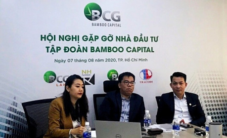 BCG sẽ rót 14,000 tỷ vào điện gió trong năm 2020 - 2021