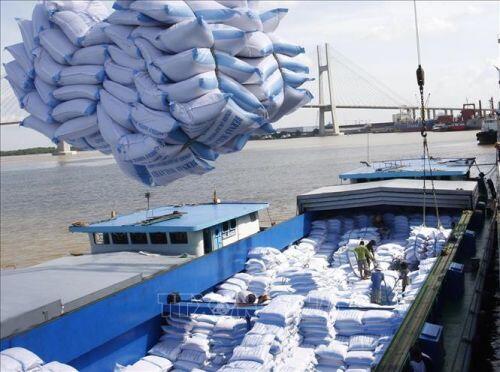 Tuần qua, giá gạo Thái Lan ổn định, giá nông sản Mỹ giảm