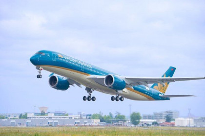 Thâm hụt nguồn tài chính, Vietnam Airlines không chi trả cổ tức năm 2019
