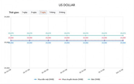 Tỷ giá USD hôm nay 12/8: Đà phục hồi chững lại