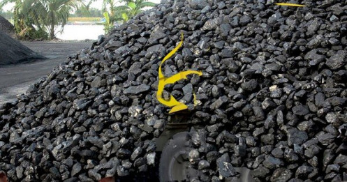 Y án nhóm công nhân tham ô 106 tấn than của Công ty PT Vietmindo Energitama
