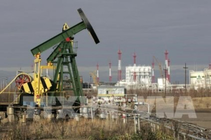 OPEC dự báo nhu cầu dầu toàn cầu sẽ giảm 9,1 triệu thùng/ngày trong năm 2020