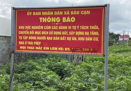 Bất động sản “đứng hình” vì Covid-19, cò đất vẫn tung chiêu tạo “sốt ảo”