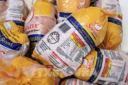 Philippines tạm cấm nhập khẩu thịt gà Brazil do lo ngại nhiễm SARS-CoV-2