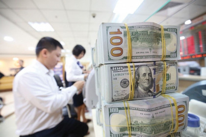 Tỷ giá ngoại tệ ngày 14/8: Đồng USD tiếp đà giảm