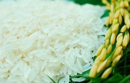 Giá lúa gạo hôm nay ngày 14/8: Giá gạo trong nước giảm