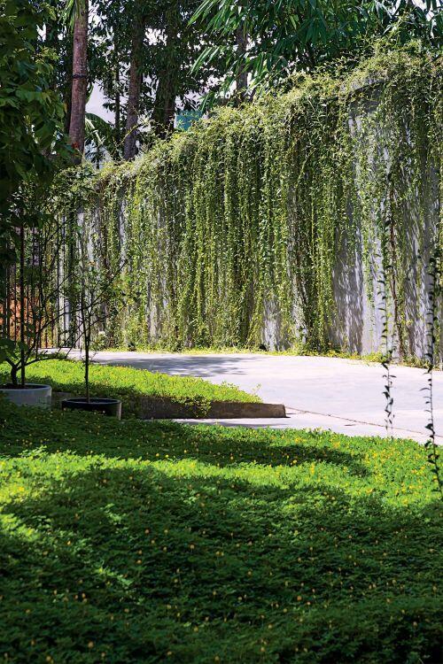 Ngôi nhà vườn kết nối con người và thiên nhiên ở Nghệ An