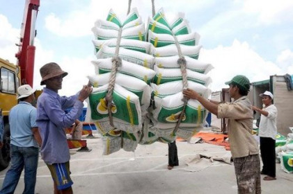 Gạo 5% tấm của Việt Nam đang giao dịch cao nhất thế giới