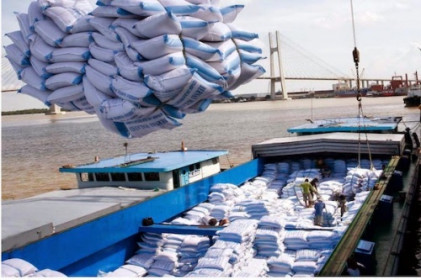 80.000 tấn gạo xuất khẩu sang EU như thế nào?