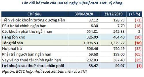 TNI: Lãi ròng nửa đầu năm 2020 giảm 81% sau soát xét