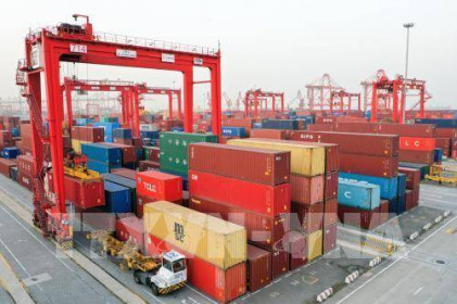 Maersk: Nhu cầu vận tải biển giảm đáng kể trong năm nay