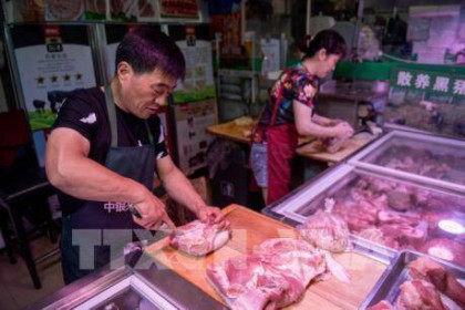 Maple Leaf Foods dừng xuất khẩu thịt lợn sang Trung Quốc