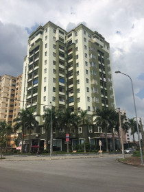 Thời Covid, nên rót tiền vào đâu?