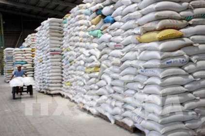 Thị trường nông sản thế giới: Giá gạo Ấn Độ tăng, giá đậu tương Mỹ giảm