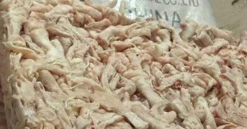 Bắt 24 tấn lòng lợn nhiễm khuẩn tả châu Phi suýt tuồn ra thị trường