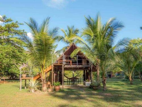 Rộ mốt làm nhà vườn gỗ độc đáo, ấm cúng và gần gũi với thiên nhiên