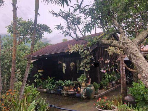 Rộ mốt làm nhà vườn gỗ độc đáo, ấm cúng và gần gũi với thiên nhiên