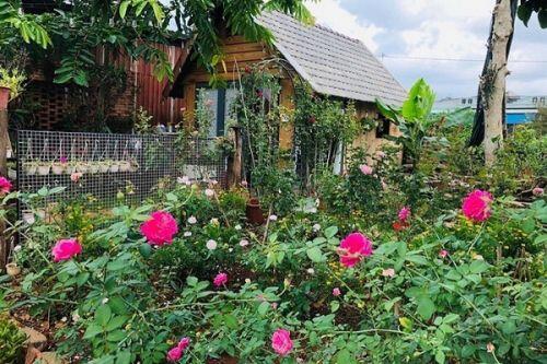 Rộ mốt làm nhà vườn gỗ độc đáo, ấm cúng và gần gũi với thiên nhiên