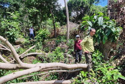 Vi phạm quản lý đất đai ở Kiên Giang: Nhiều lãnh đạo tỉnh xin "rút kinh nghiệm"