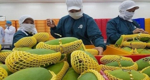 Mỹ đặc cách cử chuyên gia trở lại Việt Nam gỡ khó cho trái cây Việt xuất khẩu