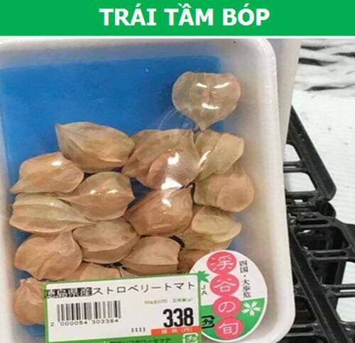 Lá chuối, bèo...ở Việt Nam miễn phí, xuất ngoại giá cao “ngất ngưởng“