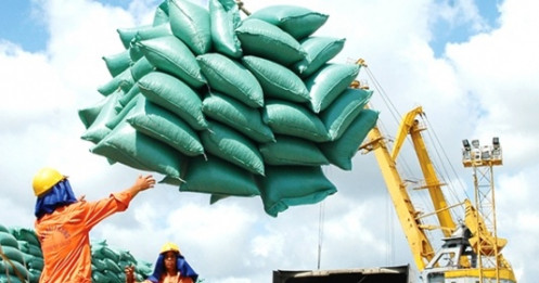 Tổng giám đốc Công ty Trung An: Xuất khẩu gạo của Việt Nam chỉ mang tính chất 'cầu may'