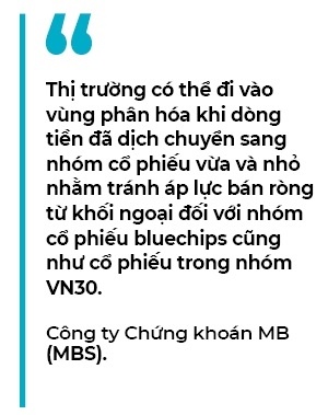 Sự phân hóa dòng tiền trên thị trường chứng khoán