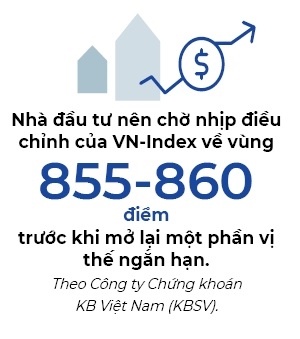 Sự phân hóa dòng tiền trên thị trường chứng khoán