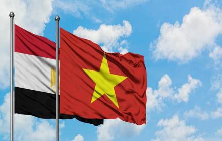 Thành tựu kinh tế - xã hội của Việt Nam nổi bật trên báo chí Ai Cập