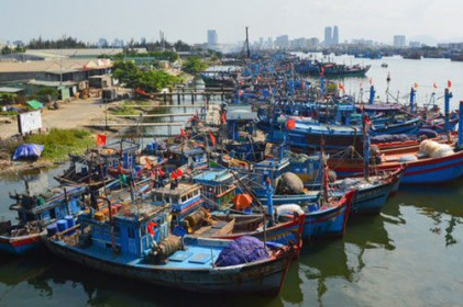 Vì sao Việt Nam vẫn chưa thể gỡ "thẻ vàng" cho thủy sản?