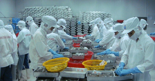 Cú hích EVFTA với xuất khẩu tôm bắt đầu thể hiện