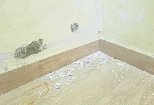 Mua nhà trong ngõ hẻm: Cẩn trọng kẻo không lối về