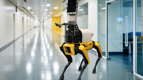 Mỹ: Sử dụng chó robot để khám cho bệnh nhân Covid-19