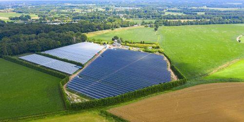 Công ty năng lượng Hà Lan phát triển pin mặt trời đặc biệt cho nông nghiệp | Thế giới